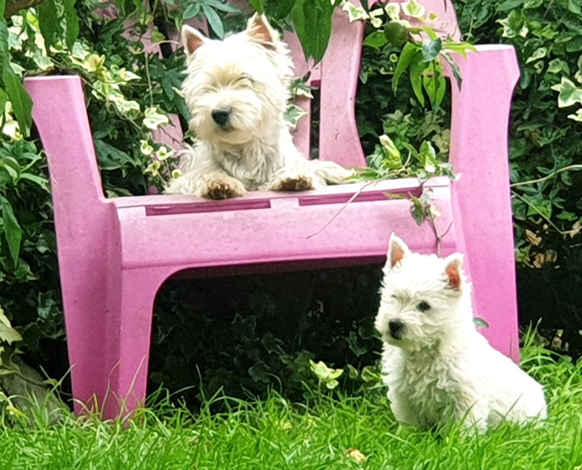 Marlene-y-Gala.jpg